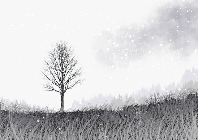 每日大赛吃瓜彻底出圈，干货满满不踩坑  第2张