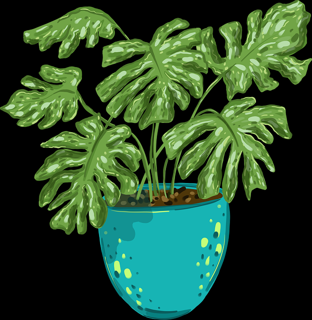 速读·91网页版口碑逆袭·123招