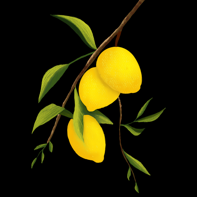 每日大赛在线观看×算法推荐:助你快速上手 第2张 每日大赛在线观看×算法推荐:助你快速上手 第2张