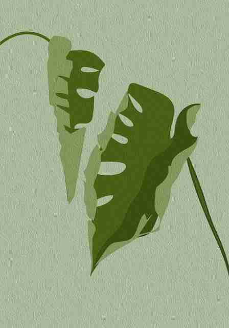 每日大赛91持续霸榜，含实战心得  第2张