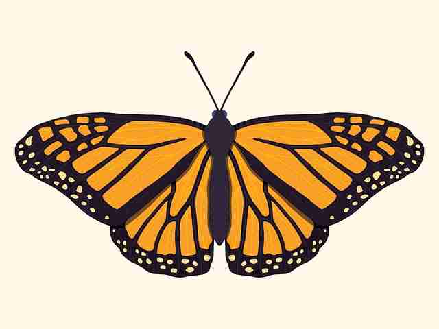 终极揭秘·黑料万里长征首页怪兽级玩法——全新视角 第2张 终极揭秘·黑料万里长征首页怪兽级玩法——全新视角 第2张