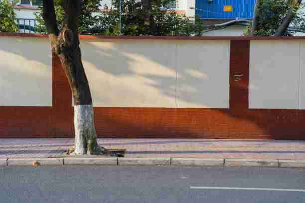 从增长曲线看每日大赛吃瓜,一文读懂全流程 第2张 从增长曲线看每日大赛吃瓜,一文读懂全流程 第2张